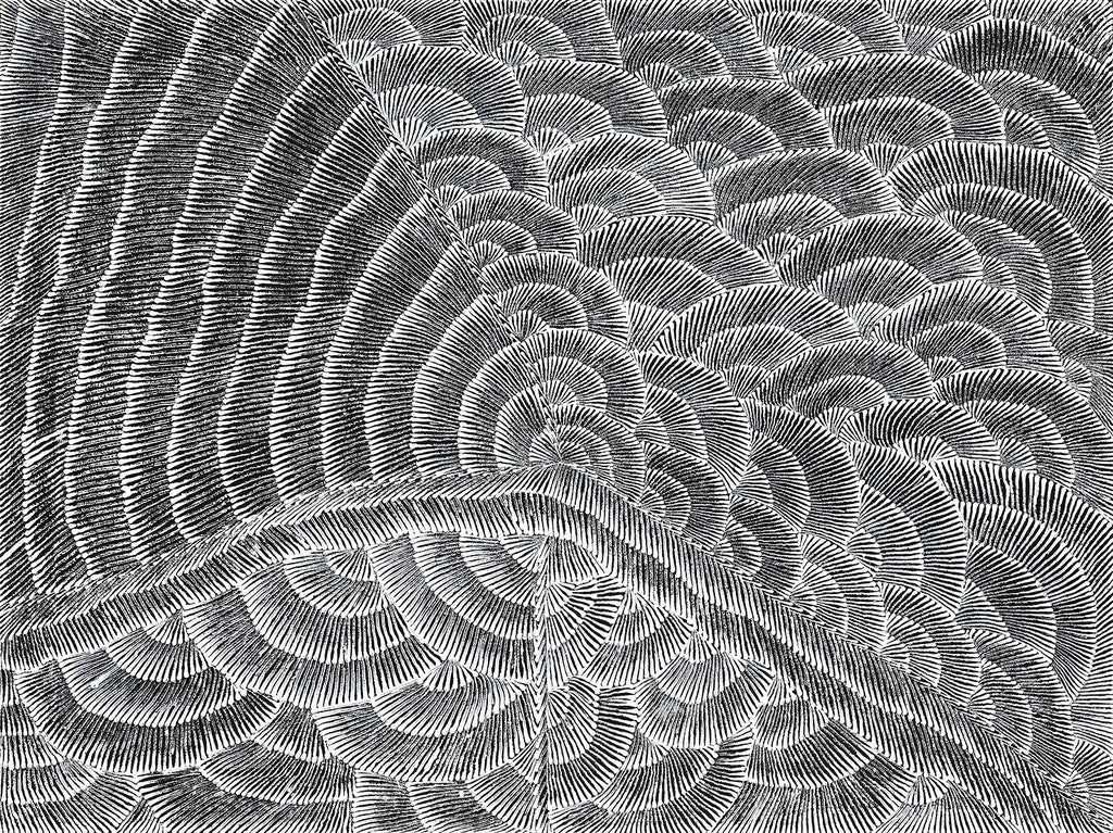 Lily Sandover Kngwarreye, 'Enteebra', 2000, 00G002, 90x120cm