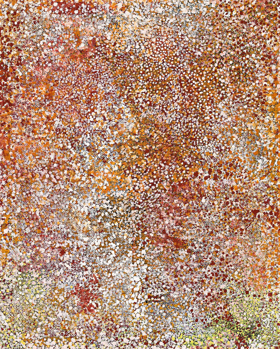 Polly Ngale (Kngale), 'Wild Plum', 2004, 04H07, 120x150cm