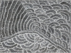 Lily Sandover Kngwarreye, 'Enteebra', 2000, 00G002, 90x120cm