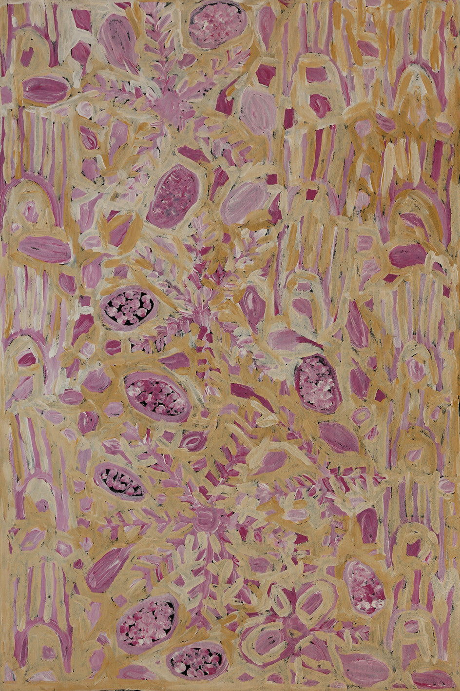 Maisie Bundey Petyarre, Painting 09B13, 2009, 61x90cm - Delmore Gallery