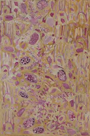 Maisie Bundey Petyarre, Painting 09B13, 2009, 61x90cm - Delmore Gallery