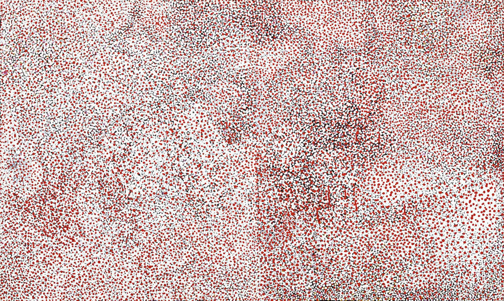 Kathleen Ngale (Kngale), 'Wild Plum', 2003, 03A010, 91x153cm