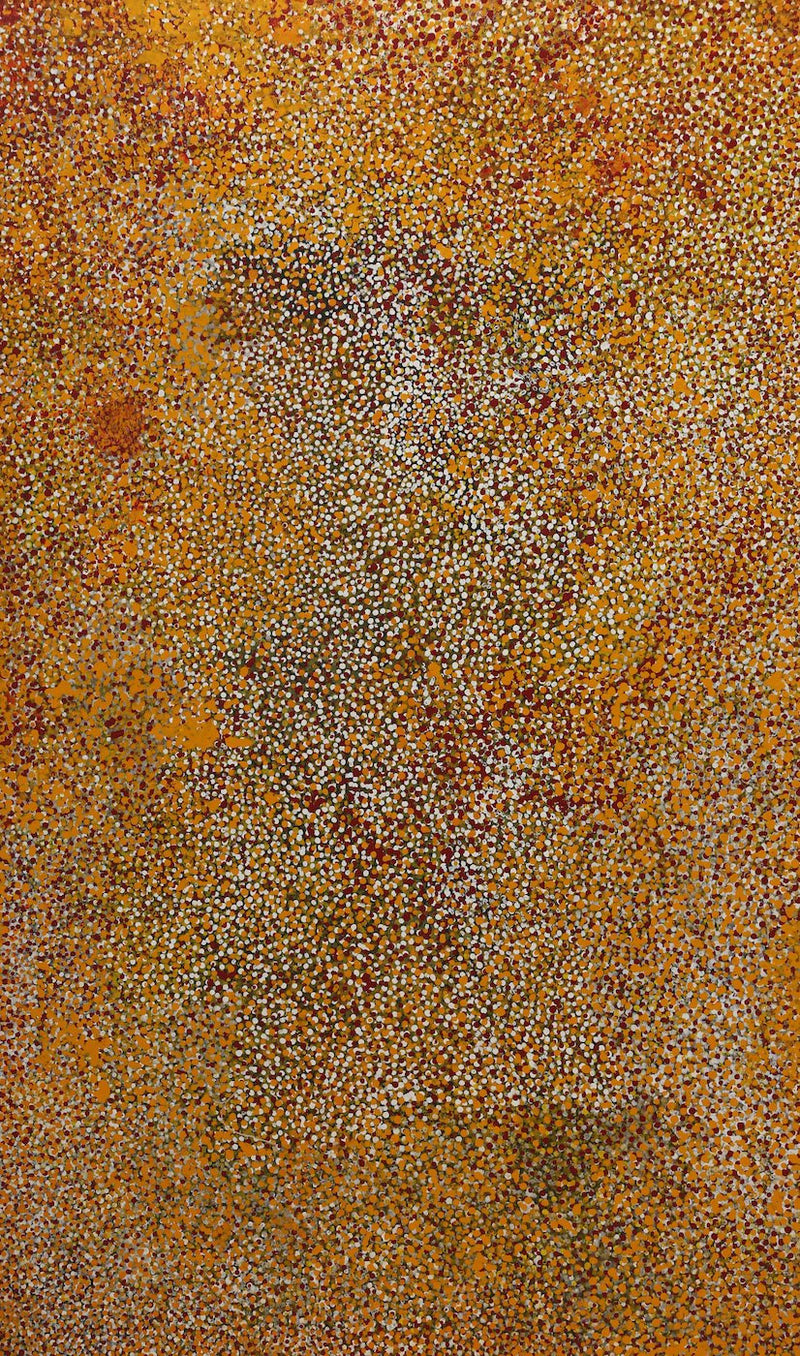Polly Ngale (Kngale), 'Wild Plum', 2004, 04D001, 90x150cm - Delmore Gallery