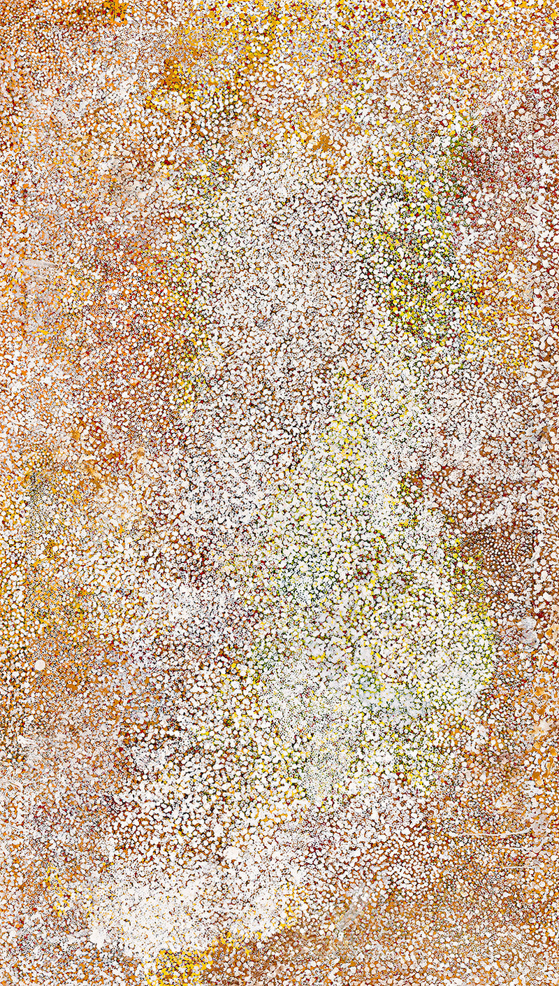 Polly Ngale (Kngale), 'Wild Plum', 2005, 05B03, 121x210cm