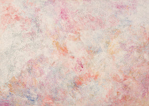 Kathleen Ngale (Kngale), 'Wild Plum', 2007, 07J22, 152x210cm