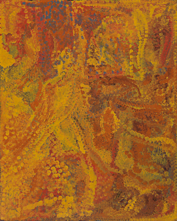 Emily Kame Kngwarreye painting | 'Alhalkere - My Country', 1992 ...