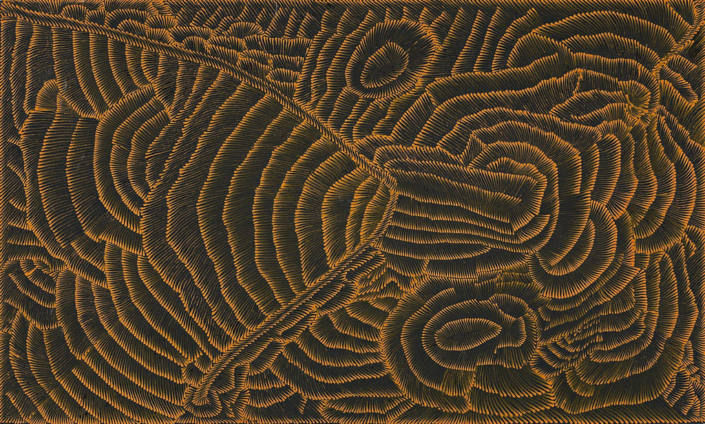 Lily Sandover Kngwarreye, 'Ayippa', 1999, 99K013, 90x150cm